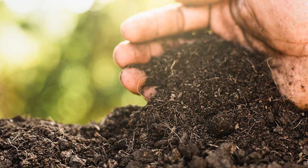 soil inspection and analysis